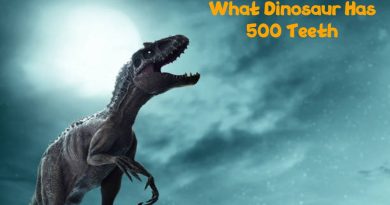 What Dinosaur Has 500 Teeth A Complete Process In 2022