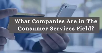 Consumer Services Sector