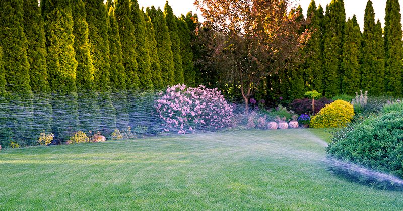 How to Properly Water Your Yard Pimped Landscape