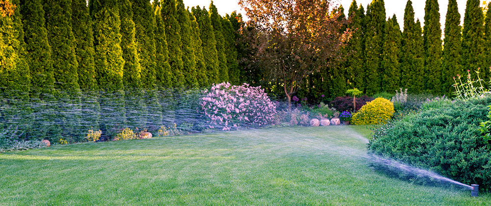 How to Properly Water Your Yard Pimped Landscape