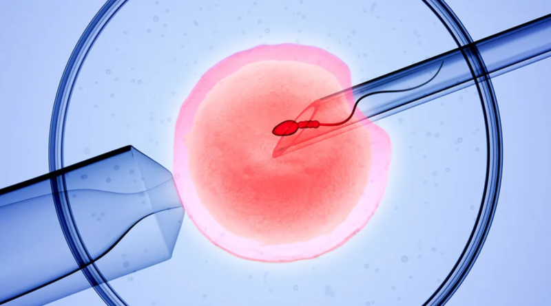 ivf treatment in Udaipur