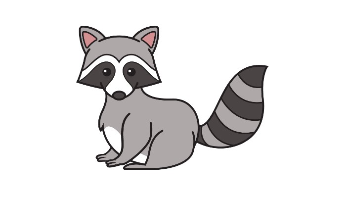 How to draw a Raccoon