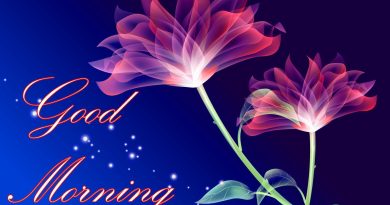 Beautiful Good Morning Images Wallpaper HD Download 