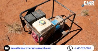 Portable Generator Market
