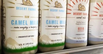 Raw Camel Milk