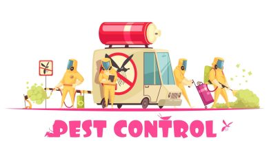 Pests in Your Home: What you Need to Know About Pest Control Services