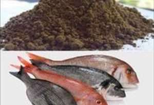 Global-Defatted-Fish-Meal-Market (1)