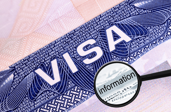 Indian Visa Information And FAQ