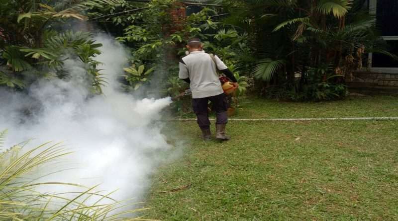 Mosquito Fogging Singapore