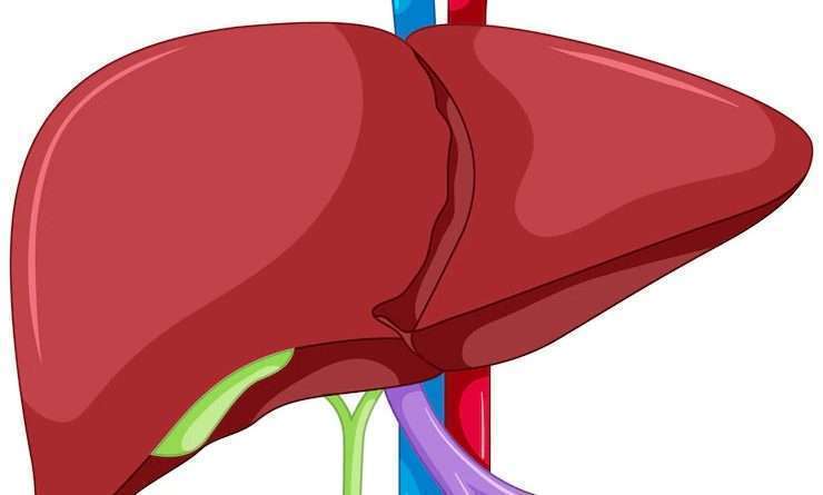 What is the most significant complication of a liver transplant?