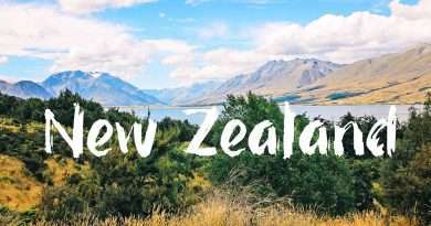 New Zealand visa for Mexican and Japanese citizens 
