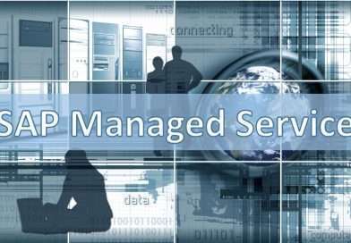 SAP Management Services