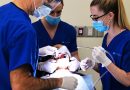 Crafting Confident Smiles: Your Journey with Idaho Falls Oral & Facial Surgery