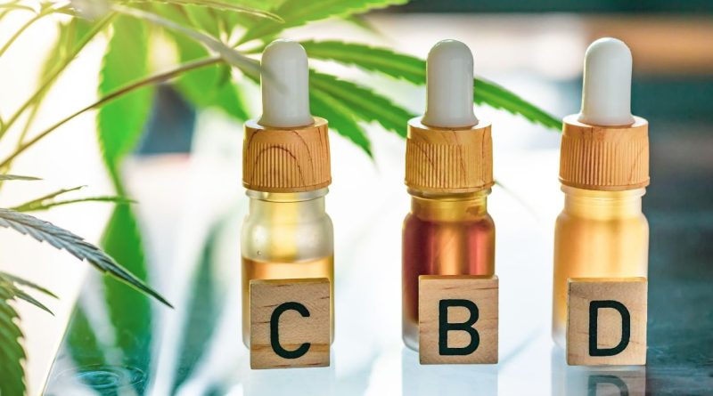 CBD Gummies as a Gateway to CBD How They Introduce Consumers to the Market