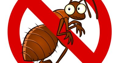 pest control Colorado Springs