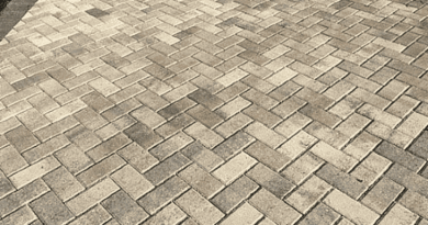 paving contractor Tampa FL