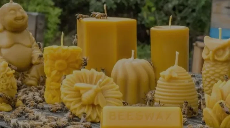 beeswax candles