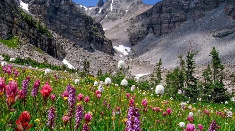 radon removal system loveland co