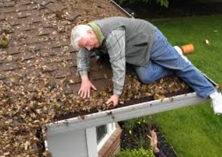 Home Maintenance & Local Services