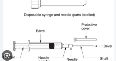 Syringe Parts: Anatomy of a Modern Medical Syringe